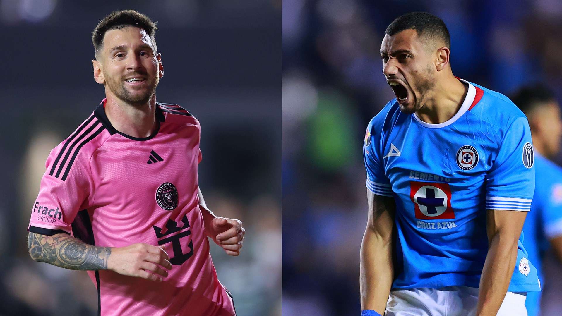 有哪些贡献 有哪些贡献