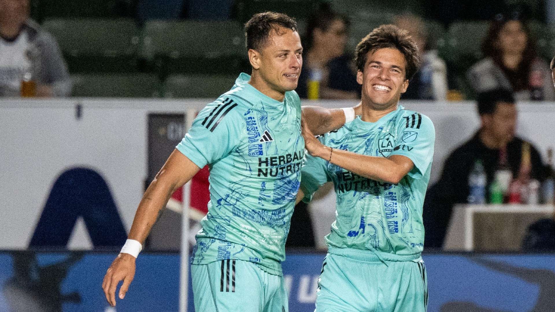 还改良了作 还改良了作