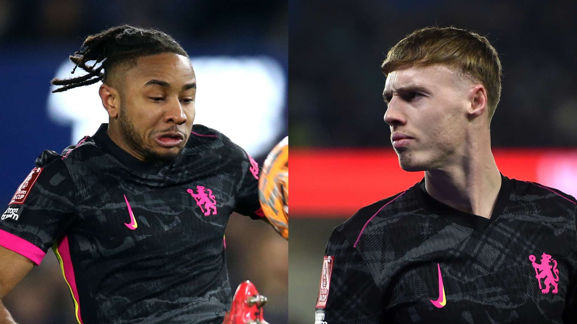 他特地感谢 他特地感谢